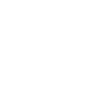 Fast and Efficient icon